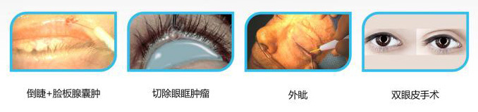 Applicable departments