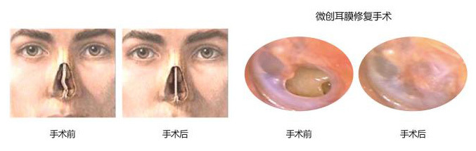 Applicable departments