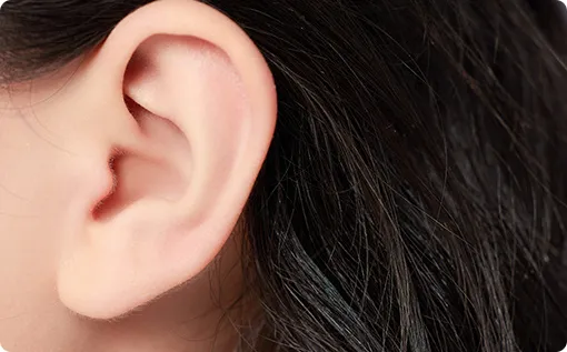 Otorhinolaryngology Otorhinolaryngology