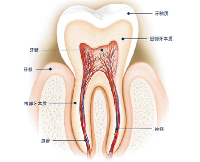 Disposable surgical electrode